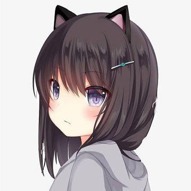 evimg