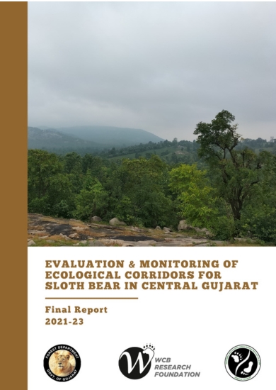 project reports